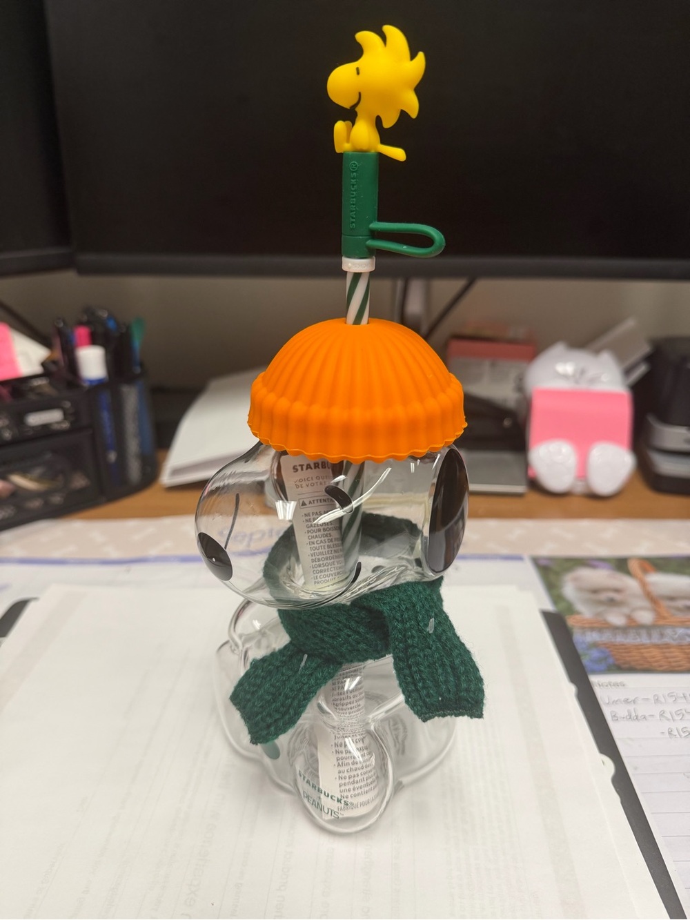Starbucks Peanuts Snoopy Tumbler with scarf and Woody topper